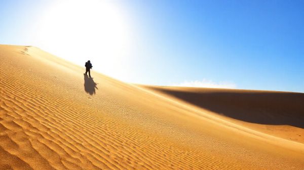 Top 7 expériences à ne pas manquer à la dune du Pilat